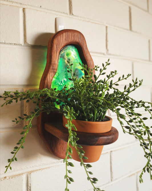 Pond Planter - Lush