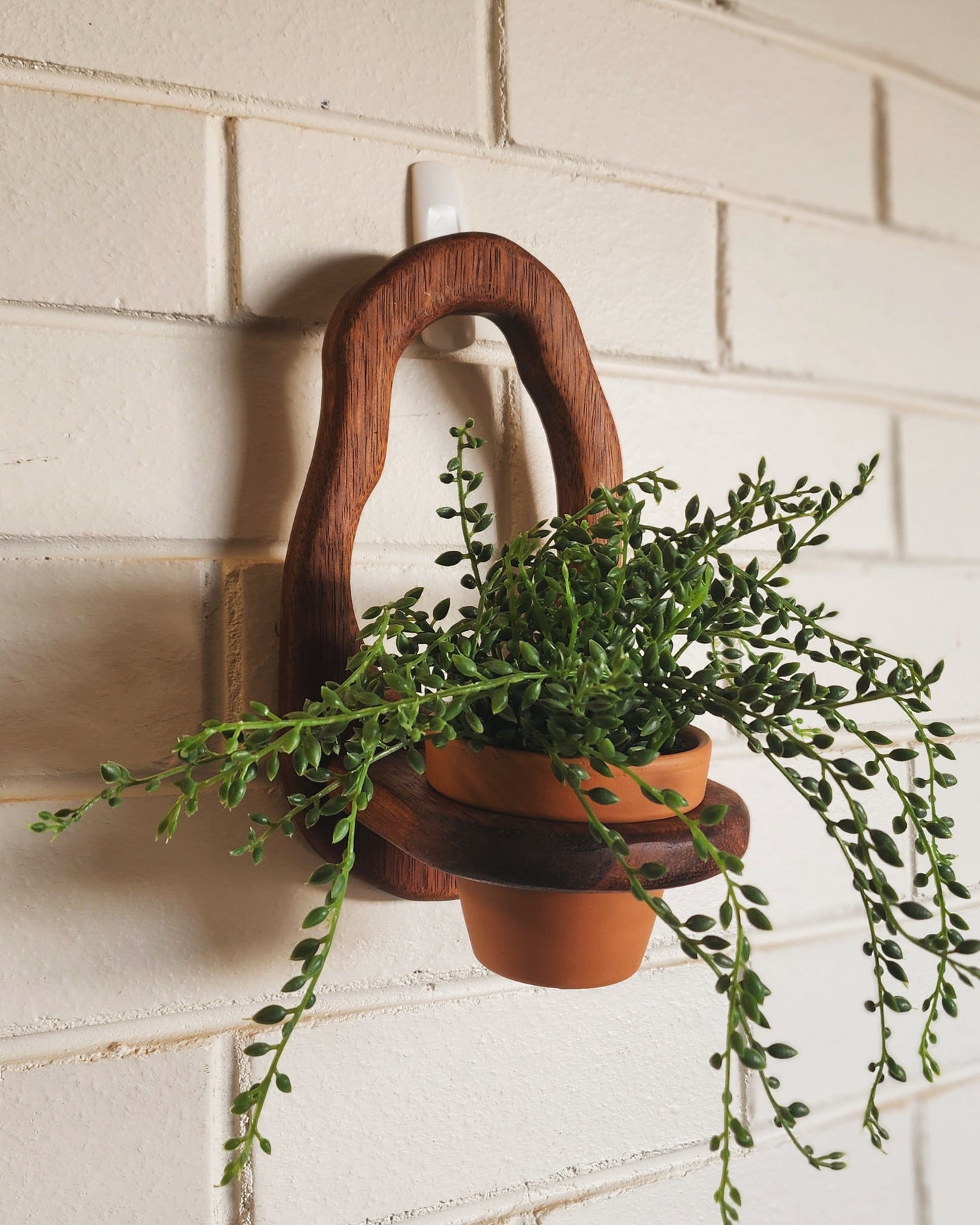 Pond Planter - Bare