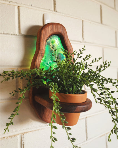 Pond Planter - Lush