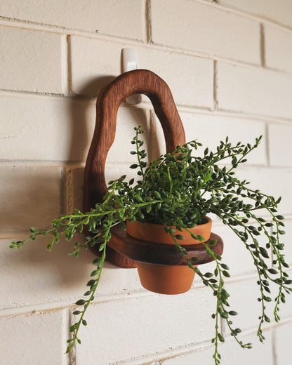 Pond Planter - Bare
